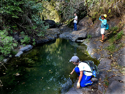 Josh Wolf and sons at 7 Falls, Tonal, Jalisco, Mexico