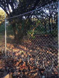 Razor wire