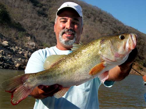 Mark Tedesco of Missouri - Photo courtesy of Mario Guevara