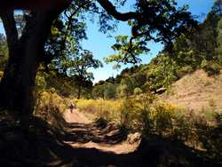 Hiking and Biking Trail