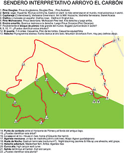 Virtual Interpretive Trail - Printable map