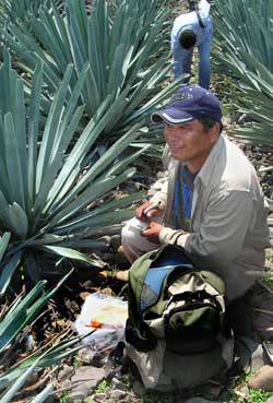 Carlos Lopez Cruz, Jalisco archaeologist