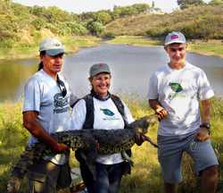 Crocodile discovered in forest was rescued by CIVS