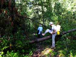 Hiking at Santa Clara del Cobre