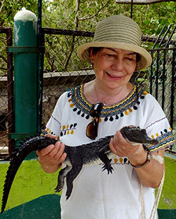 Baby crocodile