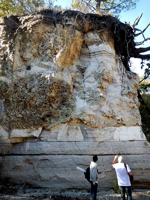 Giant Pumice Horizon, Pinar de la Venta