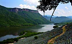 Santa Rosa Canyon