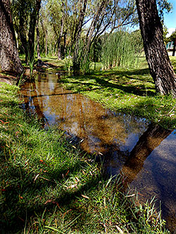 Cool stream at Balneario Rio Salado