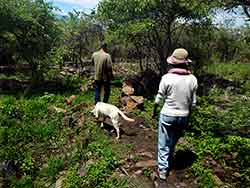 Trail to Igloo Kokolo