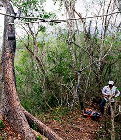 Camera trap - Photo by Alejandro Prieto