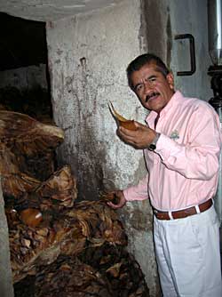 Oven used in Tequila processing - Photo by J. Pint