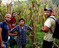 Smiles: the beloved cornfield at last!