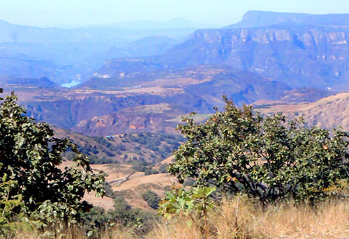 Santa Rosa Vista by Eileen Collard