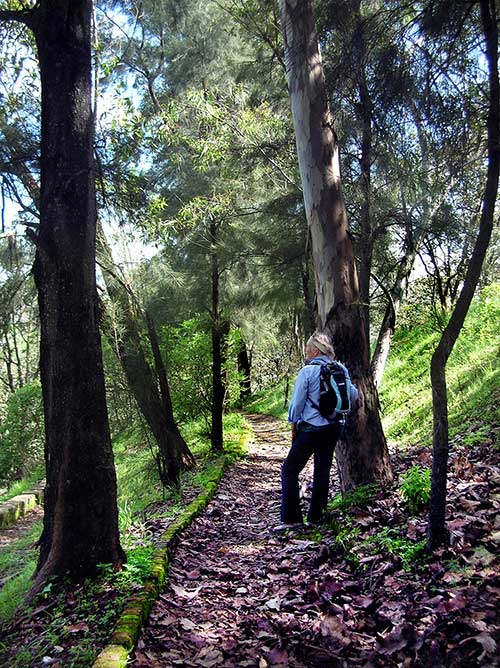 Susan Street on Pinar de la Venta Amistad Trail