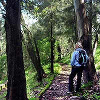 El Salto de Juanacatln