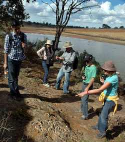 Looking for petroglyphs