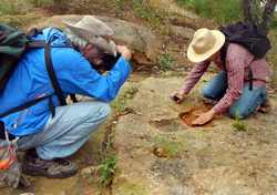 metate in rock