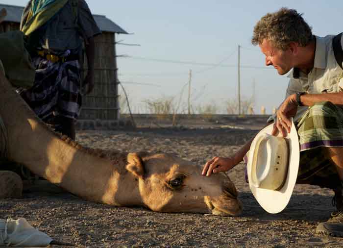 A'urta gets a reassuring head scratch while being loaded for the trail. PHOTOGRAPH BY JOHN STANMEYER-VII