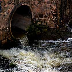 human waste draining into Rio Ahogado