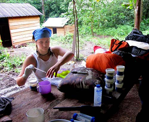 Jen Day processes jaguar scat samples in Veracruz. Photo courtesy of  Jurgi Cristobal.