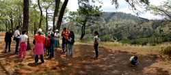 Nature Trail Lookout