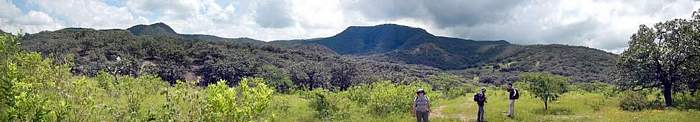 El Bosque de Ahuisculco, Jalisco, Mexico