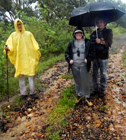 Walking in Ahuisculco Woods