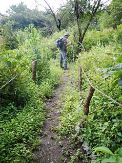 Well-marked trail in Ahuisculco Wilderness