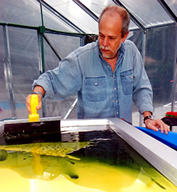 Rodrigo Orozco straining Spirulina