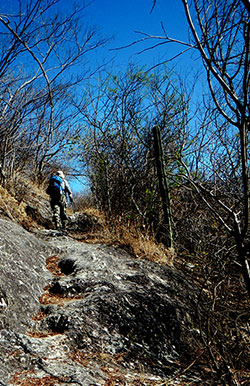 On the trail to Tequilizinta