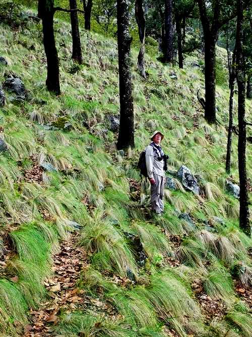 Chris Lloyd on the trail Inside Tequila Volcano Crater