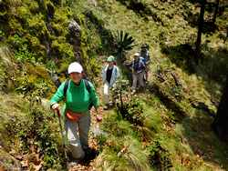 Hiking in Tequila Volcano Crater