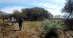 Circular pyramid at El Saucillo