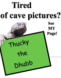 Thucky the Dhubb